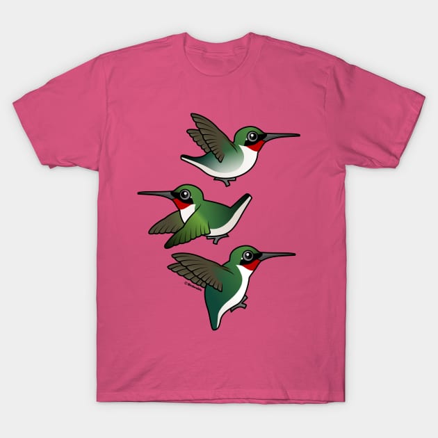 Hummingbirds in Flight T-Shirt by birdorable